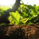 Top 5 des miracles de Jesus impliquant la nature