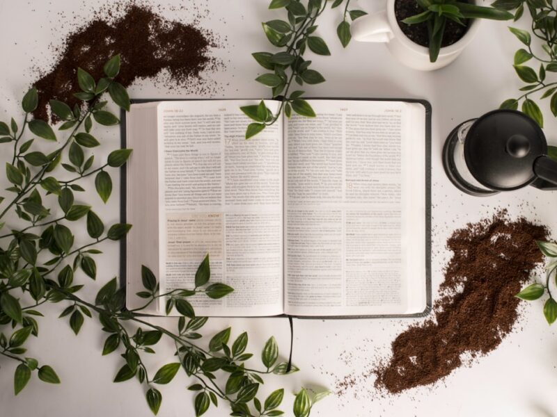 Holy Bible